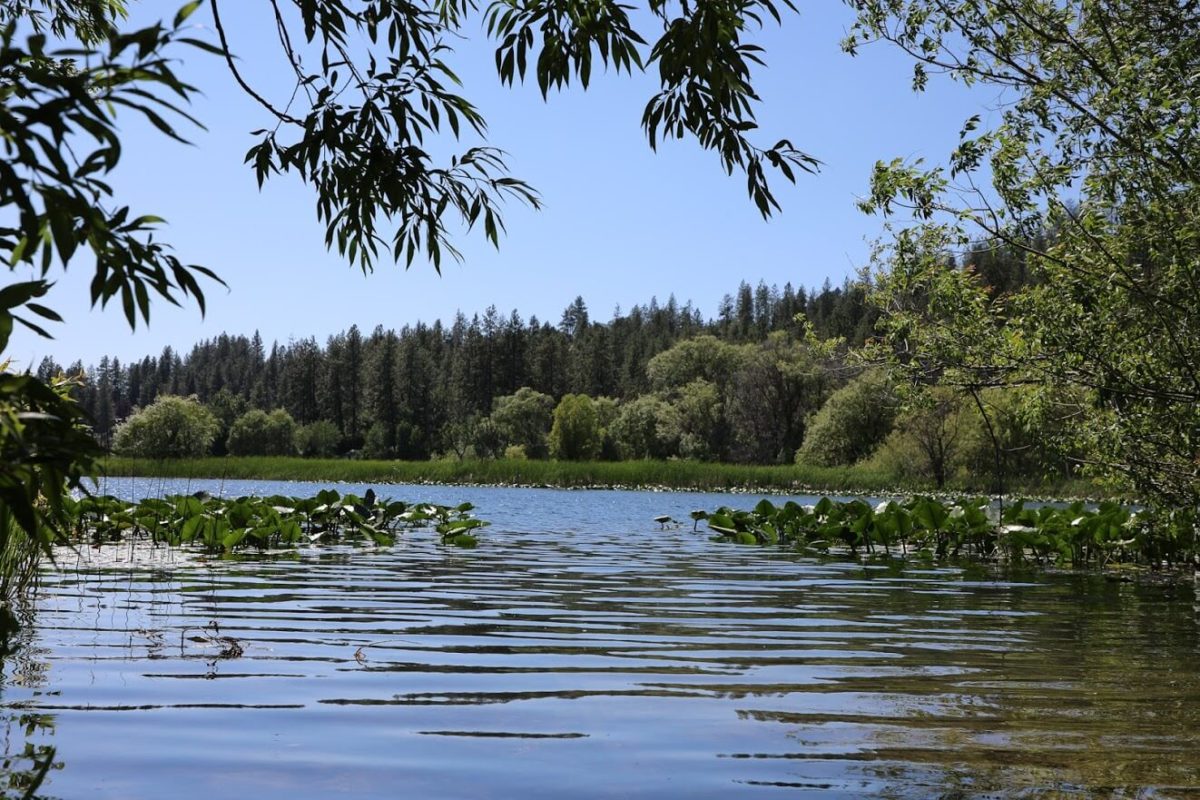 Spending a Day in Cheney Washington Explore Washington State