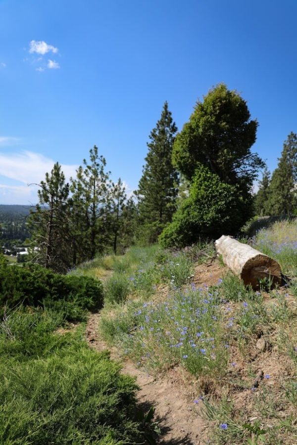 5 Easy Day Hikes Near Spokane Explore Washington