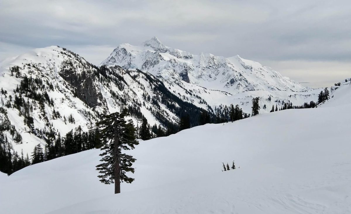 Spending a Day in the Snow at Mount Baker Explore Washington State