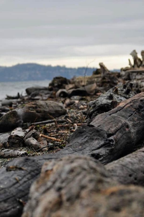 Vashon Island Things To Do for a Day Trip Explore Washington