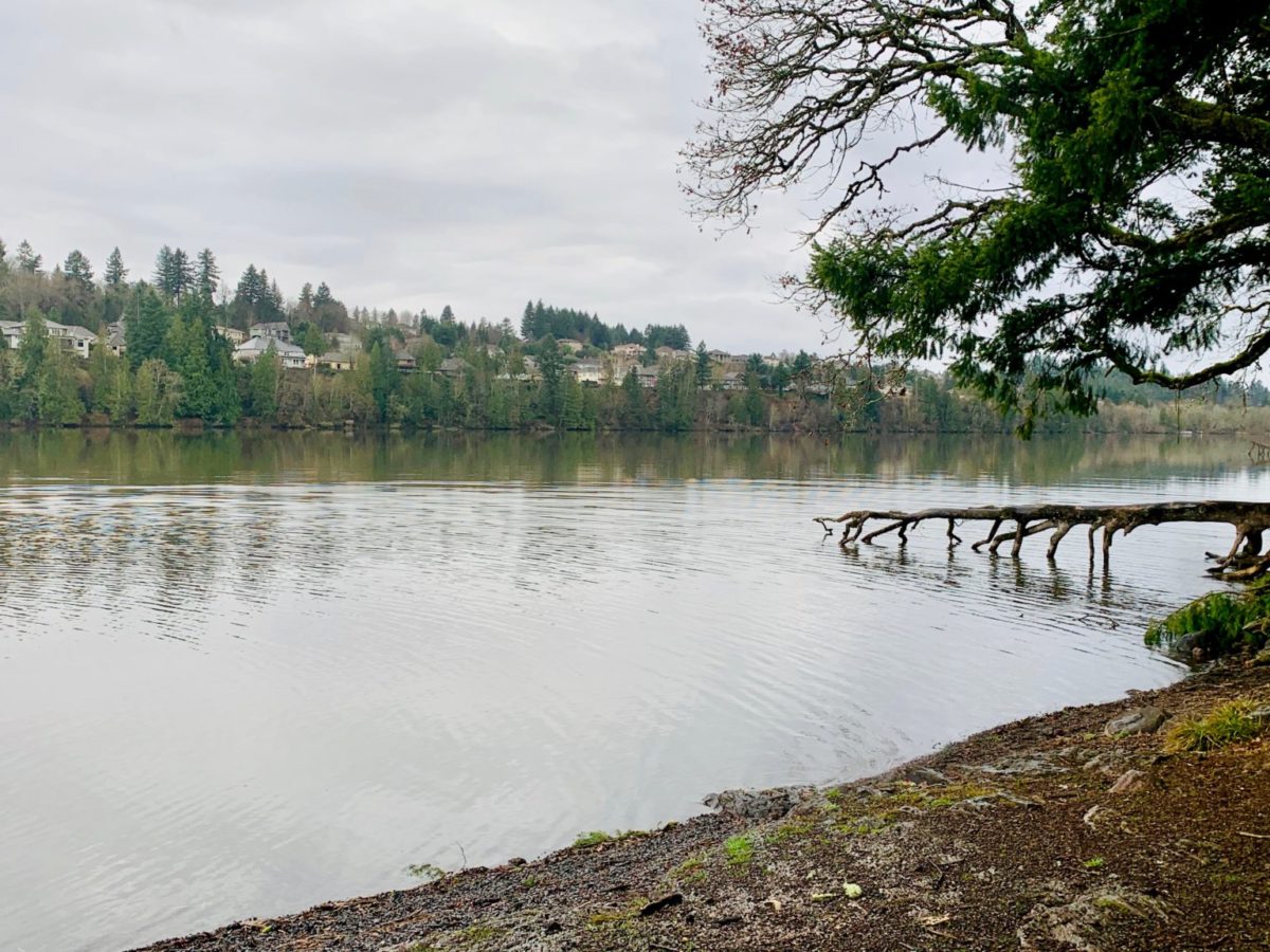 Spending a Day in Downtown Camas Explore Washington State