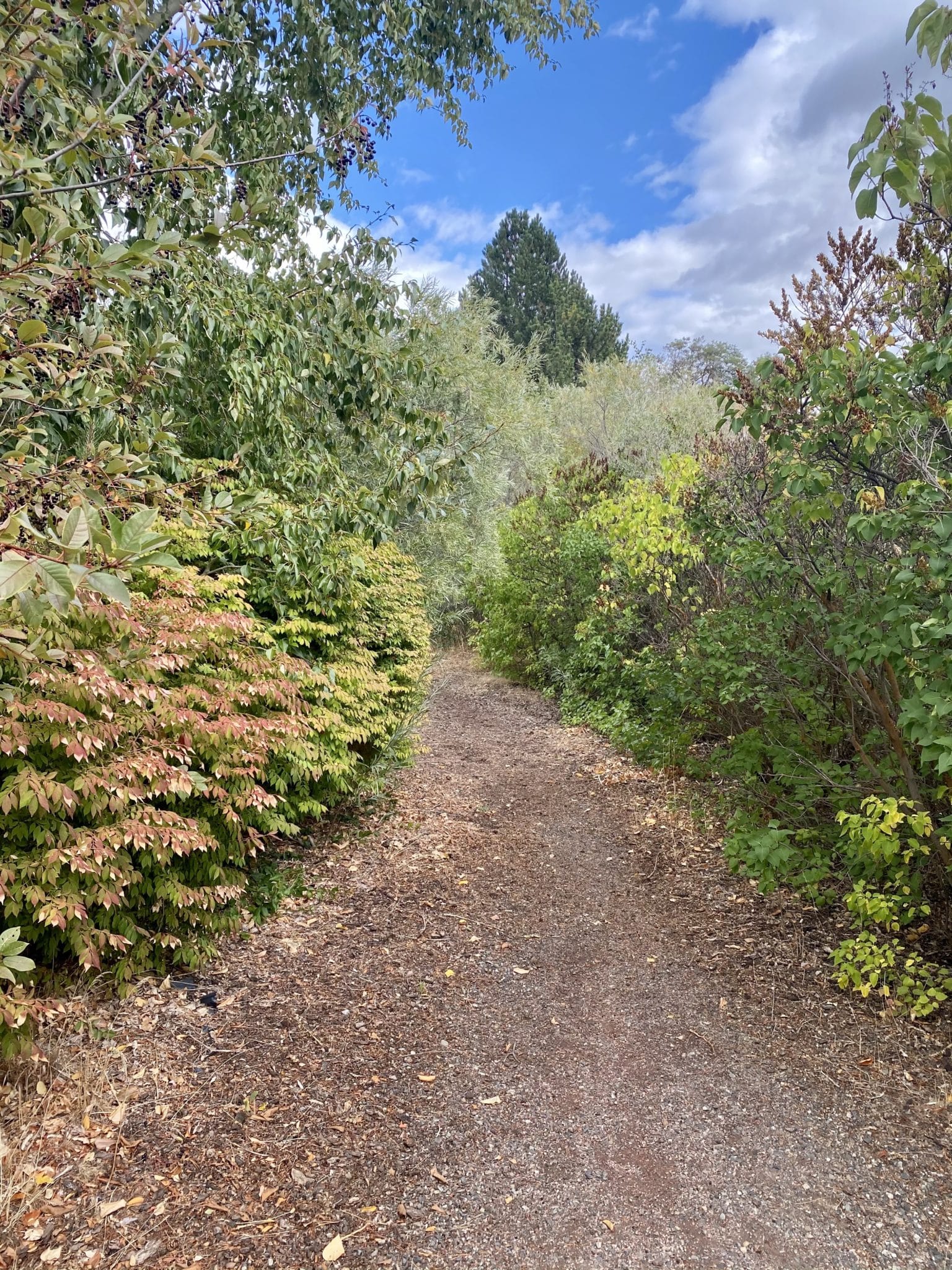 Visiting the Historic Thorp Mill and Museum Explore Washington State