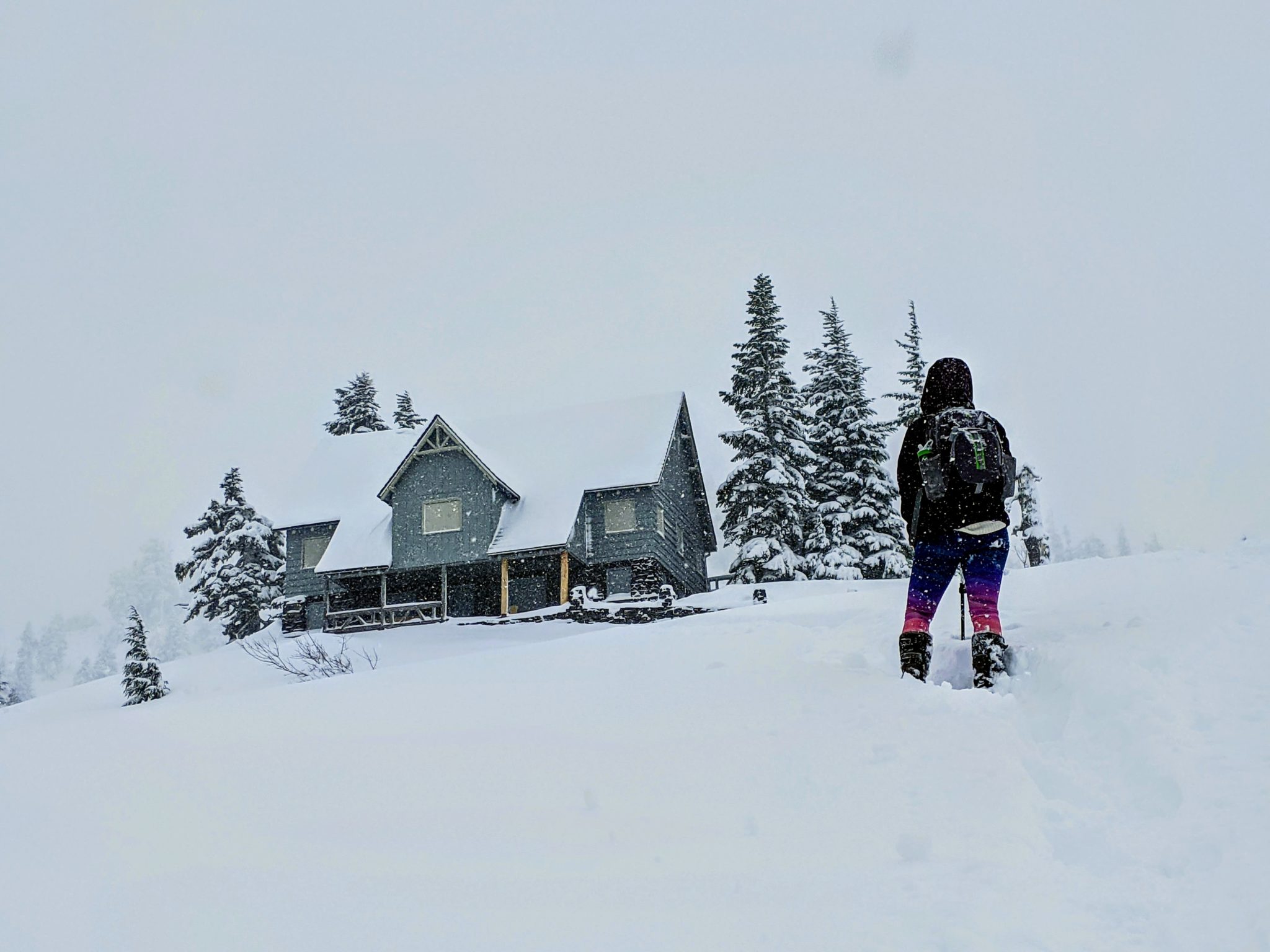 Snowshoeing to Artist Point at Mount Baker Explore Washington State