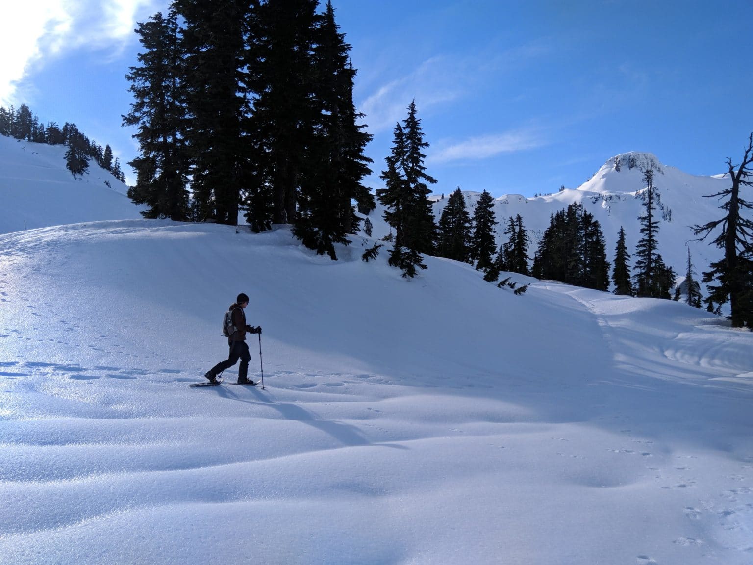 Snowshoeing to Artist Point at Mount Baker Explore Washington State