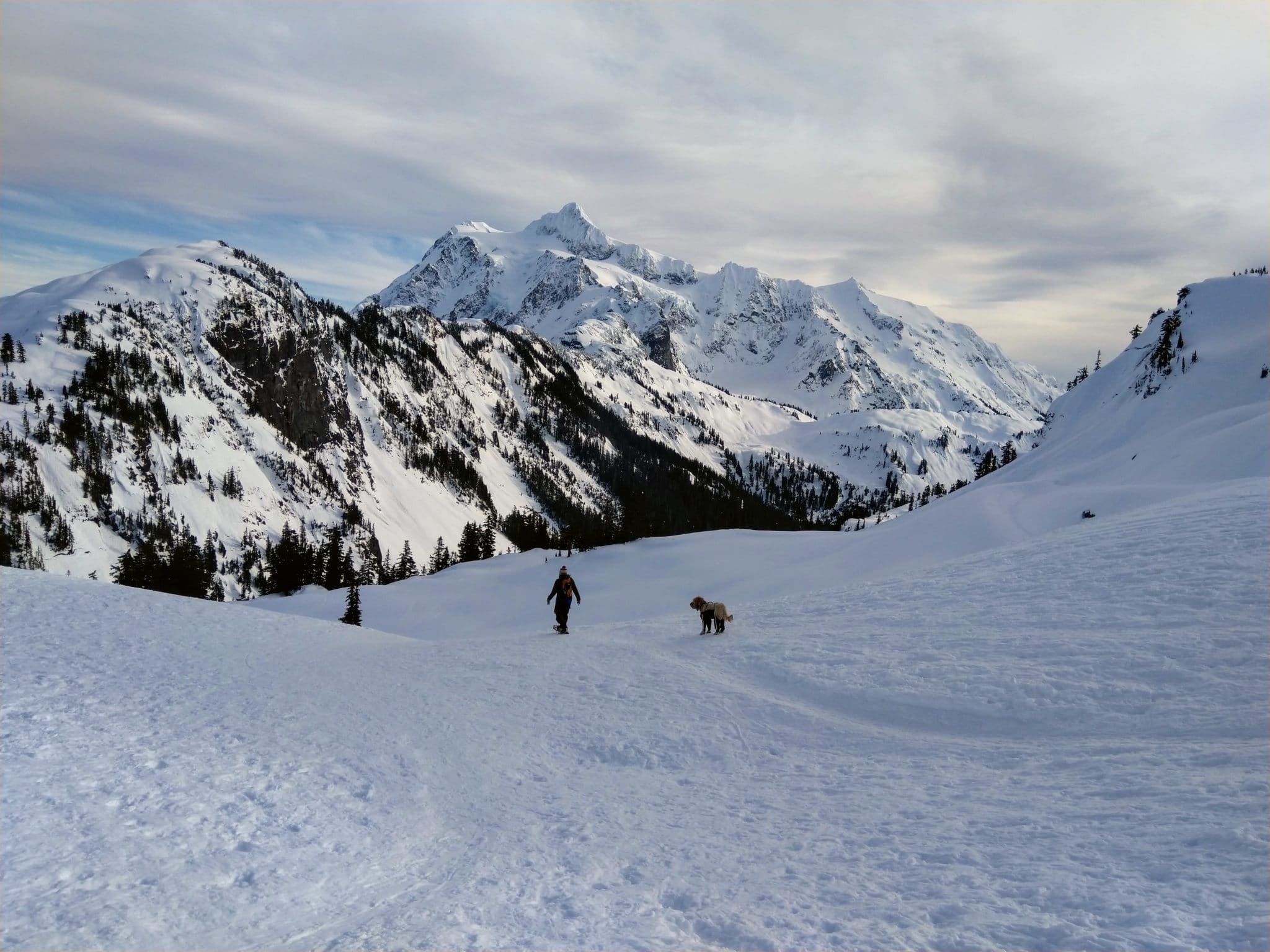 Snowshoeing to Artist Point at Mount Baker Explore Washington State