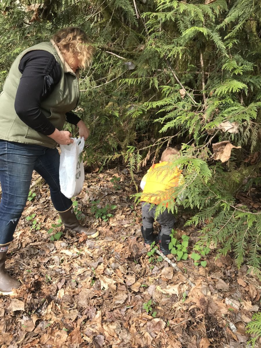 Join the Morel Mushroom Hunt! Explore Washington
