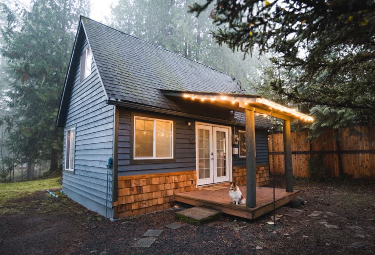 Five Amazing DogFriendly Cabins in Washington Explore Washington State