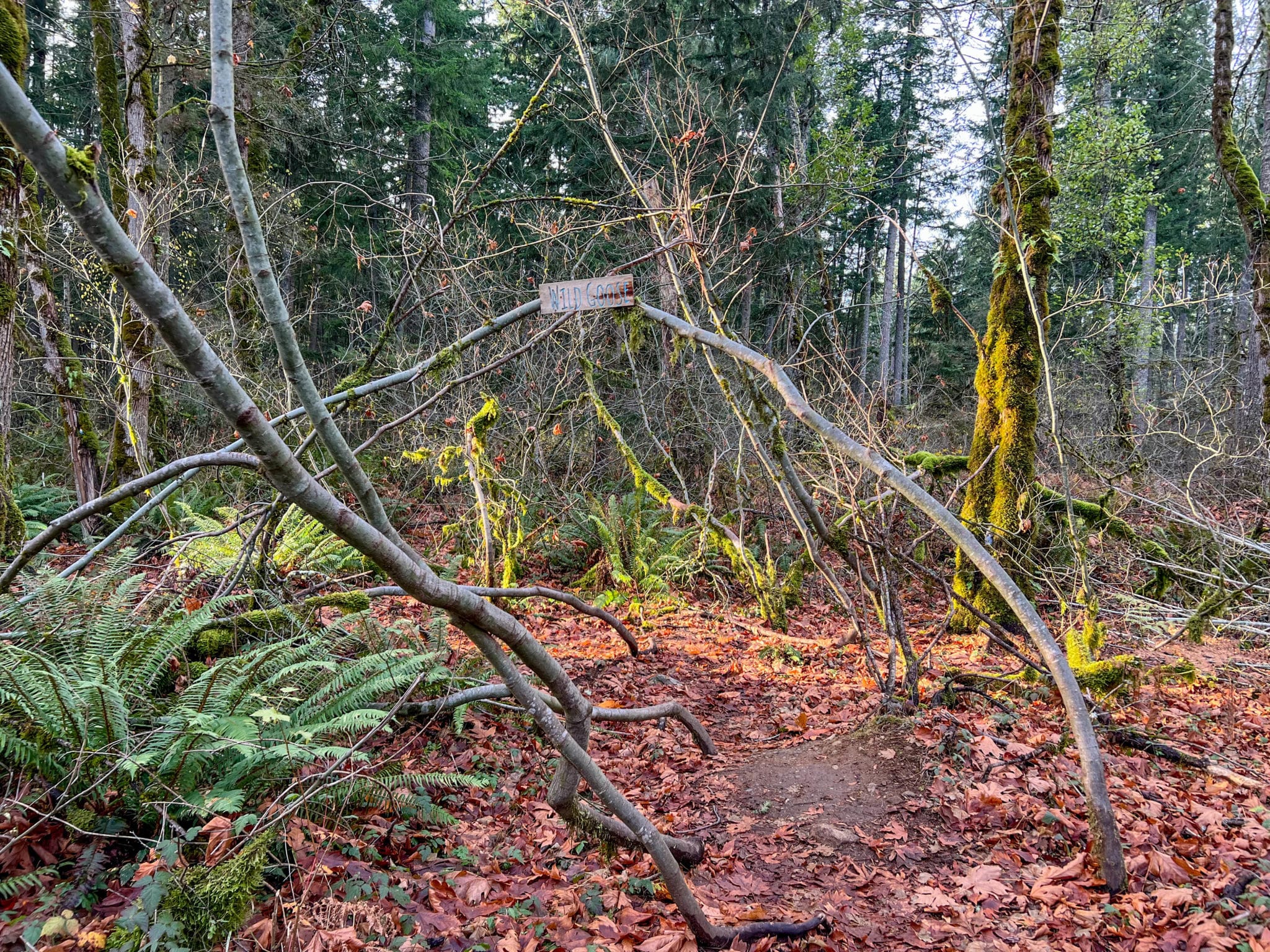Exploring the Gnome Trail in Maple Valley Explore Washington State