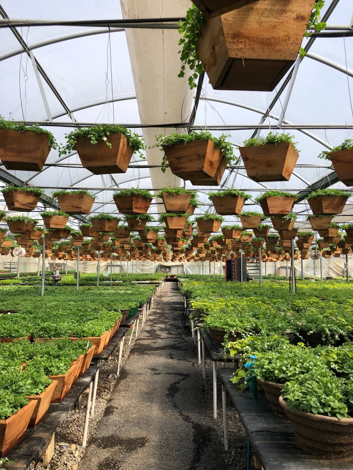 How to Get Started Gardening in the PNW Explore Washington State