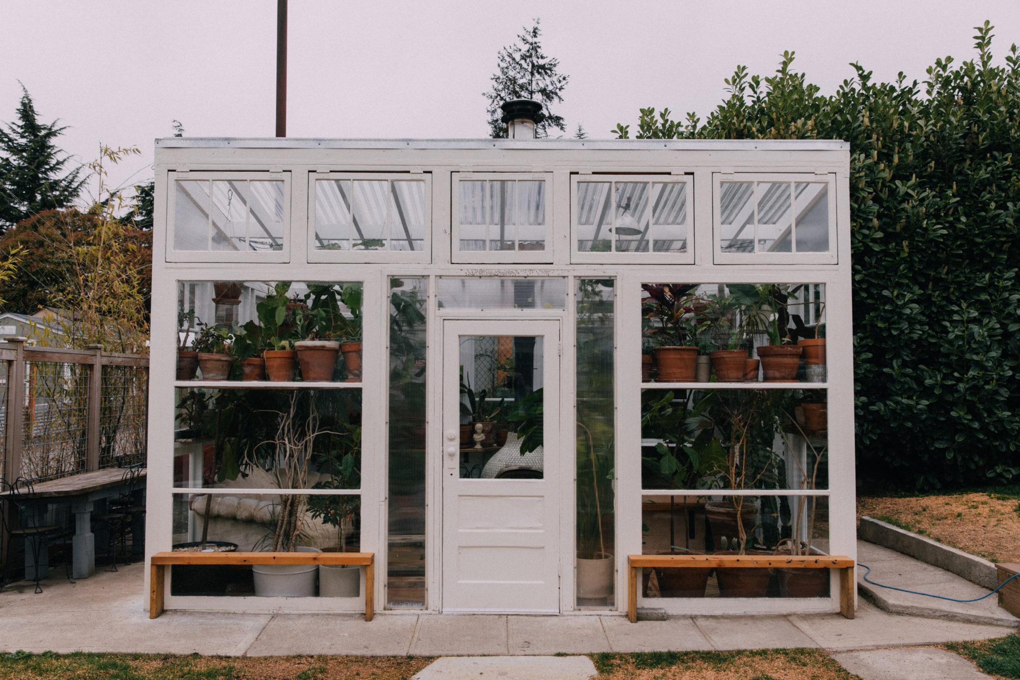 The Seattle Greenhouse An Intimate and Unique Venue Explore Washington State