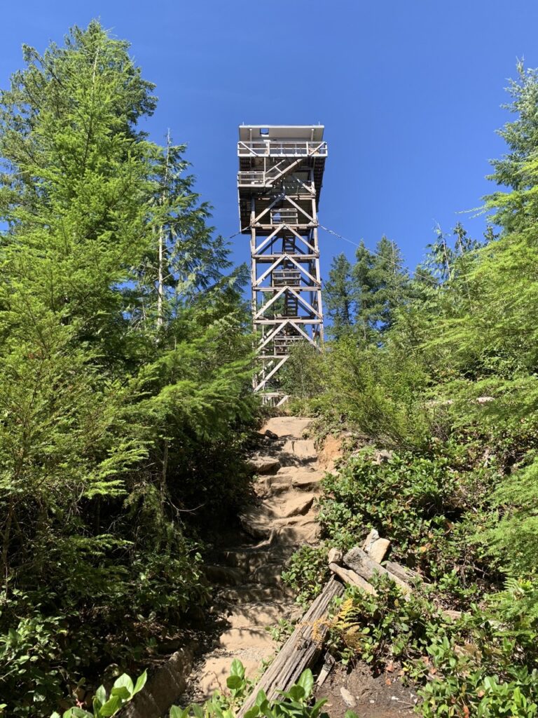 5 Lookouts Near Seattle to Visit This Summer Explore Washington State