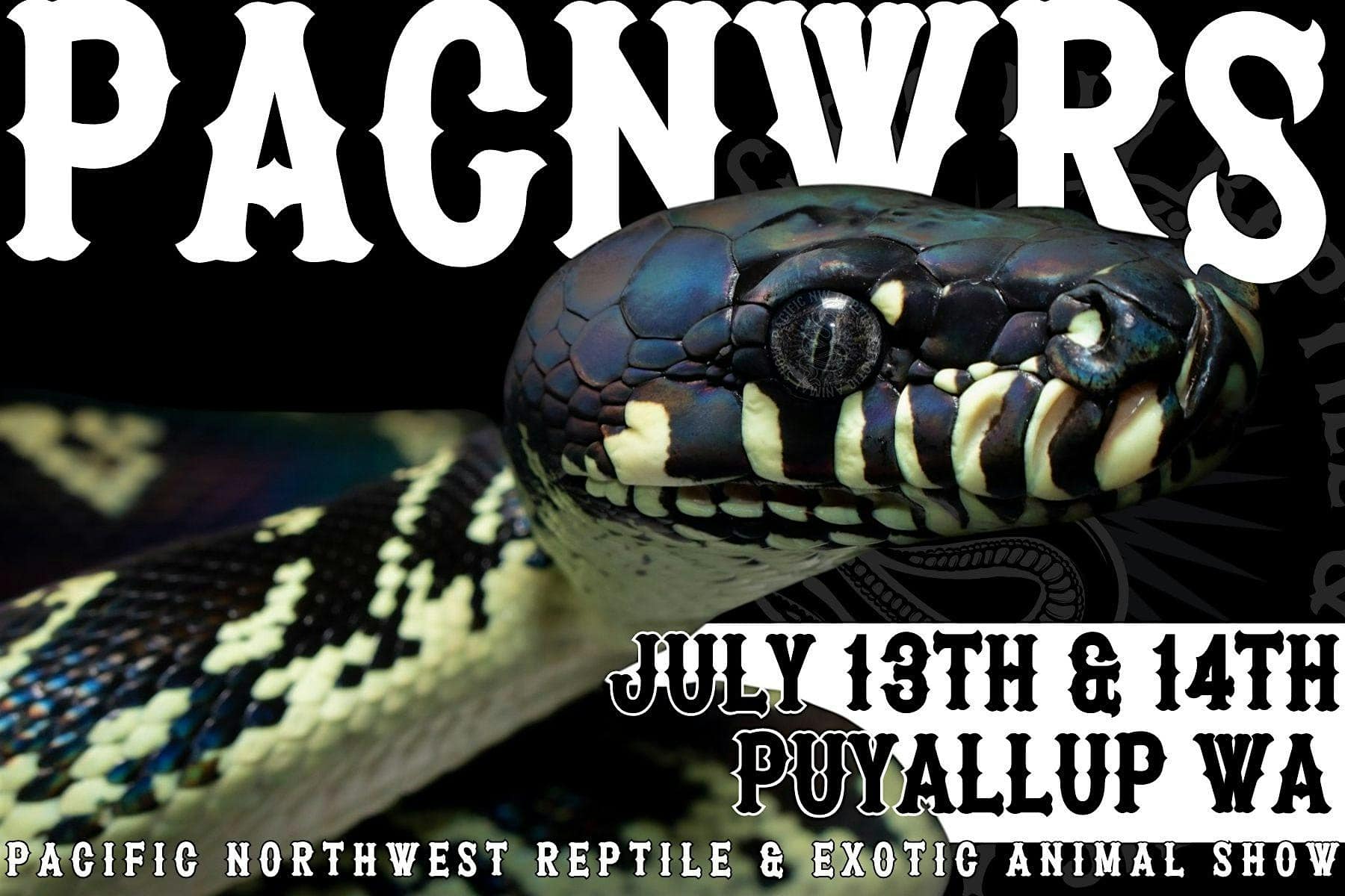 Pacific Northwest Reptile & Exotic Animal Show Puyallup Explore