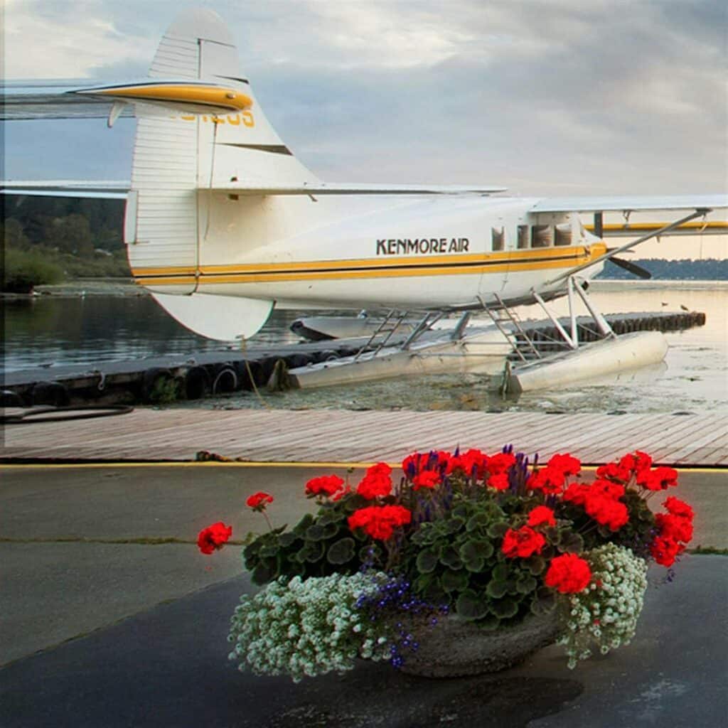 Sony Alpha Photo Walk at Kenmore Air LIVE w/Dan Hawk Explore