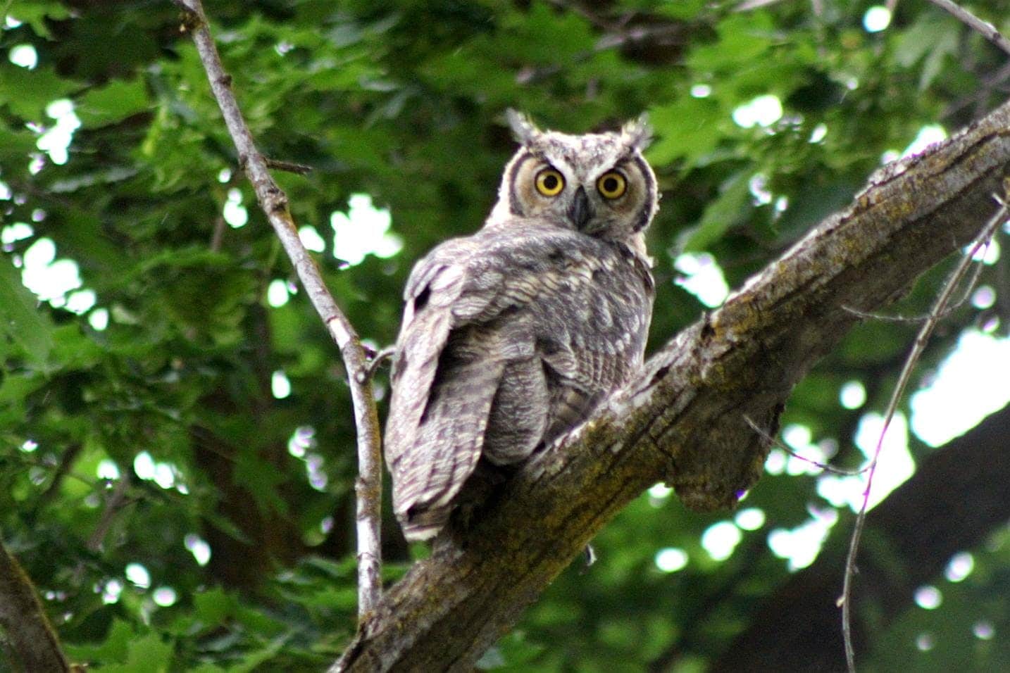 Fall Colors Bird Walk Explore Washington State